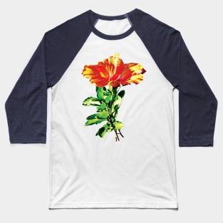 Hibiscus - Orange Hibiscus Baseball T-Shirt